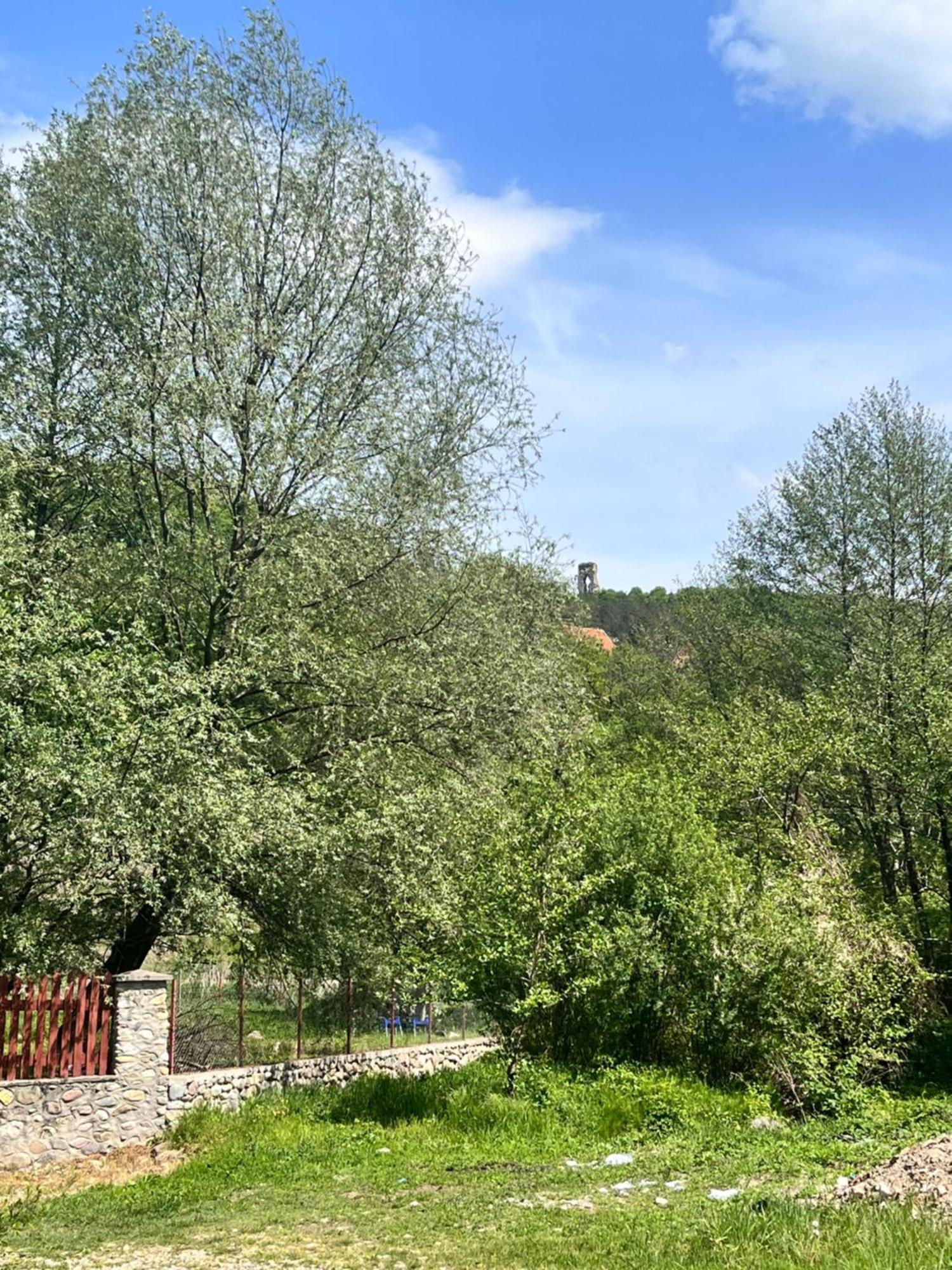 La Gradina 호텔 Mehadija 외부 사진