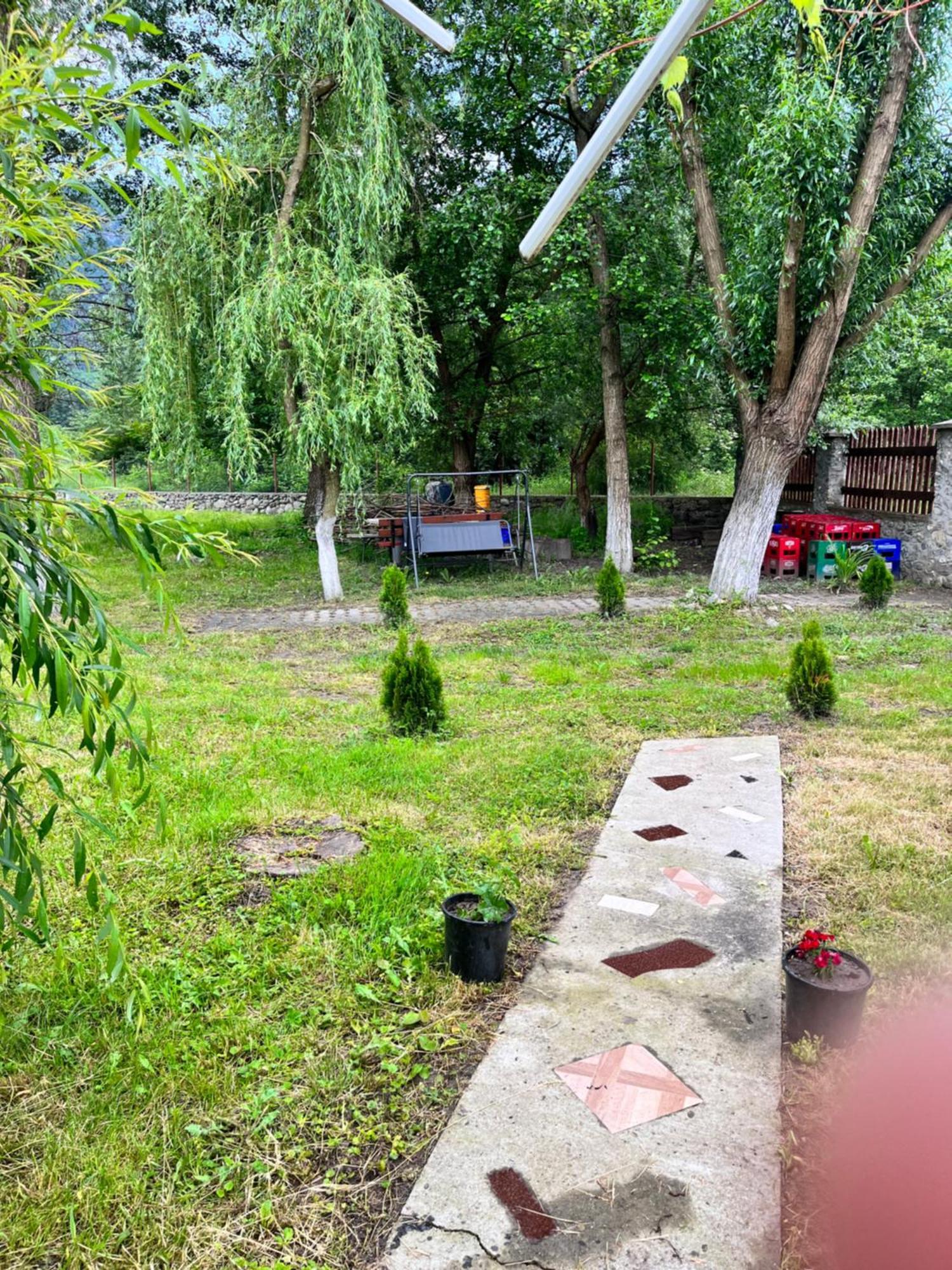 La Gradina 호텔 Mehadija 외부 사진