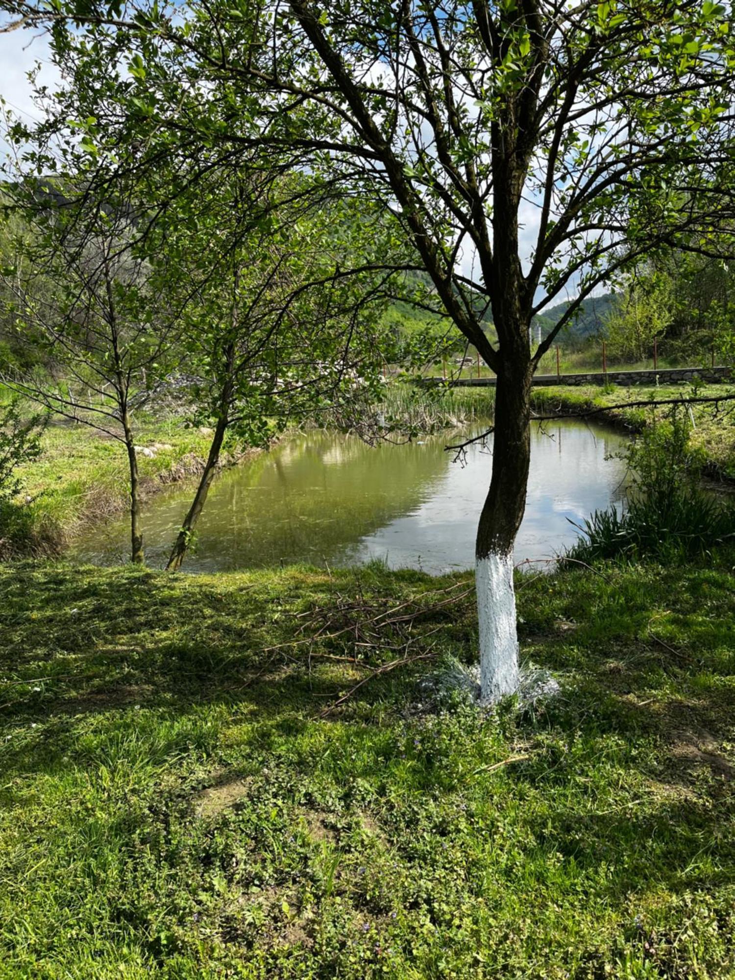 La Gradina 호텔 Mehadija 외부 사진